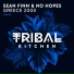 Sean Finn, No Hopes