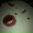death grips