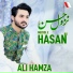 Ali Hamza