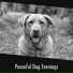Dog Chill Out Music
