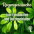 Regengeräusche, Entspannungsmusik, Schlafmusik