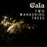 Gala