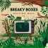Breaky Boxes