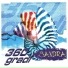 360 gradi