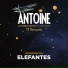 Elefantes