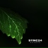 Sync24