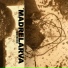 Madrelarva