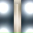 Remute