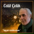Celil Çelik