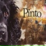 Eduardo Pinto
