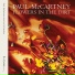 Paul McCartney (Co-Written By Elvis Costello)
