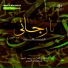 farshi tura