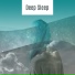All Night Sleeping Songs to Help You Relax