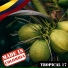 Ragga Star