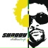 Shaggy