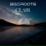 Bigroots