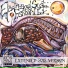 Electrosoul System