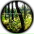 Mary Yalex