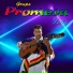 Grupo Promesa
