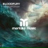 Bloodfury