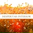 Meditación Interna