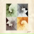 DicToR