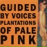 Guided By Voices