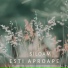 Siloam