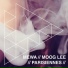 Mewa & Moog Lee