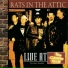 Rats in the Attic