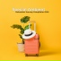 Chill Out 2017, Chilled Ibiza, Ibiza Lounge Club