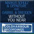 Departure, Markus Schulz feat. Gabriel & Dresden