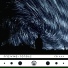 Новый Трек FireWing 27 01