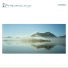 Flying Saucer Attack