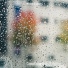 Window Of Desire
