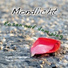 Mondlicht