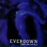 Everdown