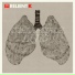 Relient K