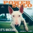 Powersolo