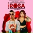 Jan Diaz, Joha