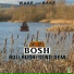 Bosh