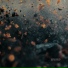 Blitz Berlin