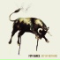 Foy Vance Feat. Bonnie Raitt