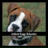 Dog Chill Out Music