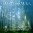 David Bauer
