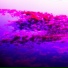 SpaceJunk