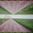 Ellie