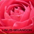 Linus Brandon