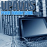 Upavas