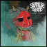Scatter Shot